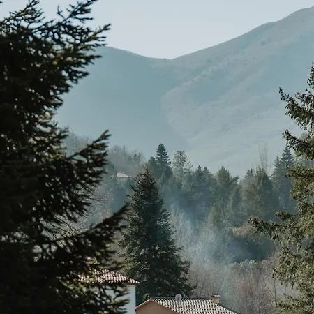 Vista *